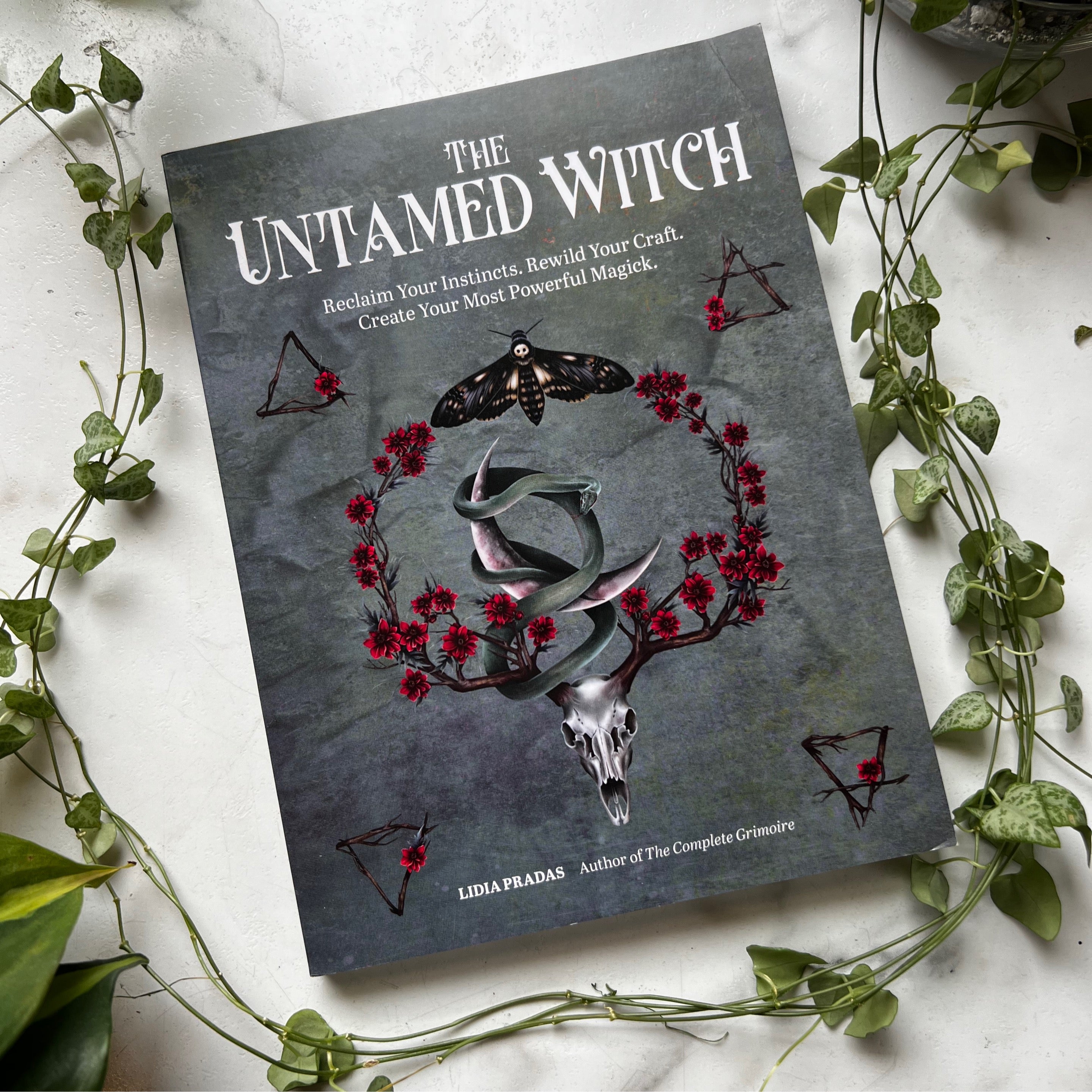 The Untamed Witch: Reclaim Your Instincts. Rewild Your Craft. Create
